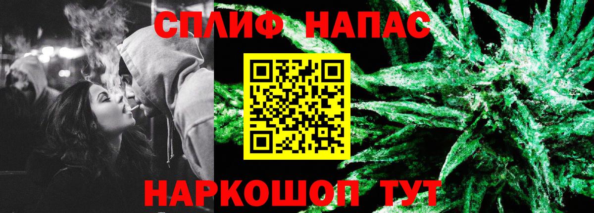 Бошки марихуана сатива Кудрово